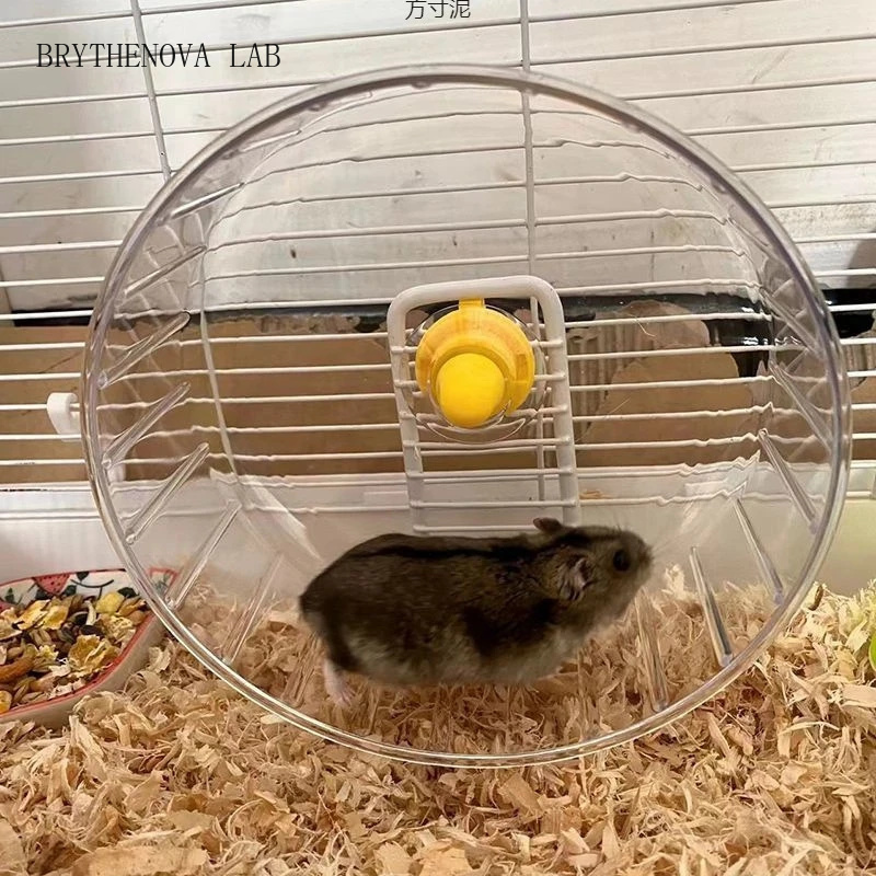 Hamster Cage Wheel - Rueda de Ejercicio para Hámster con