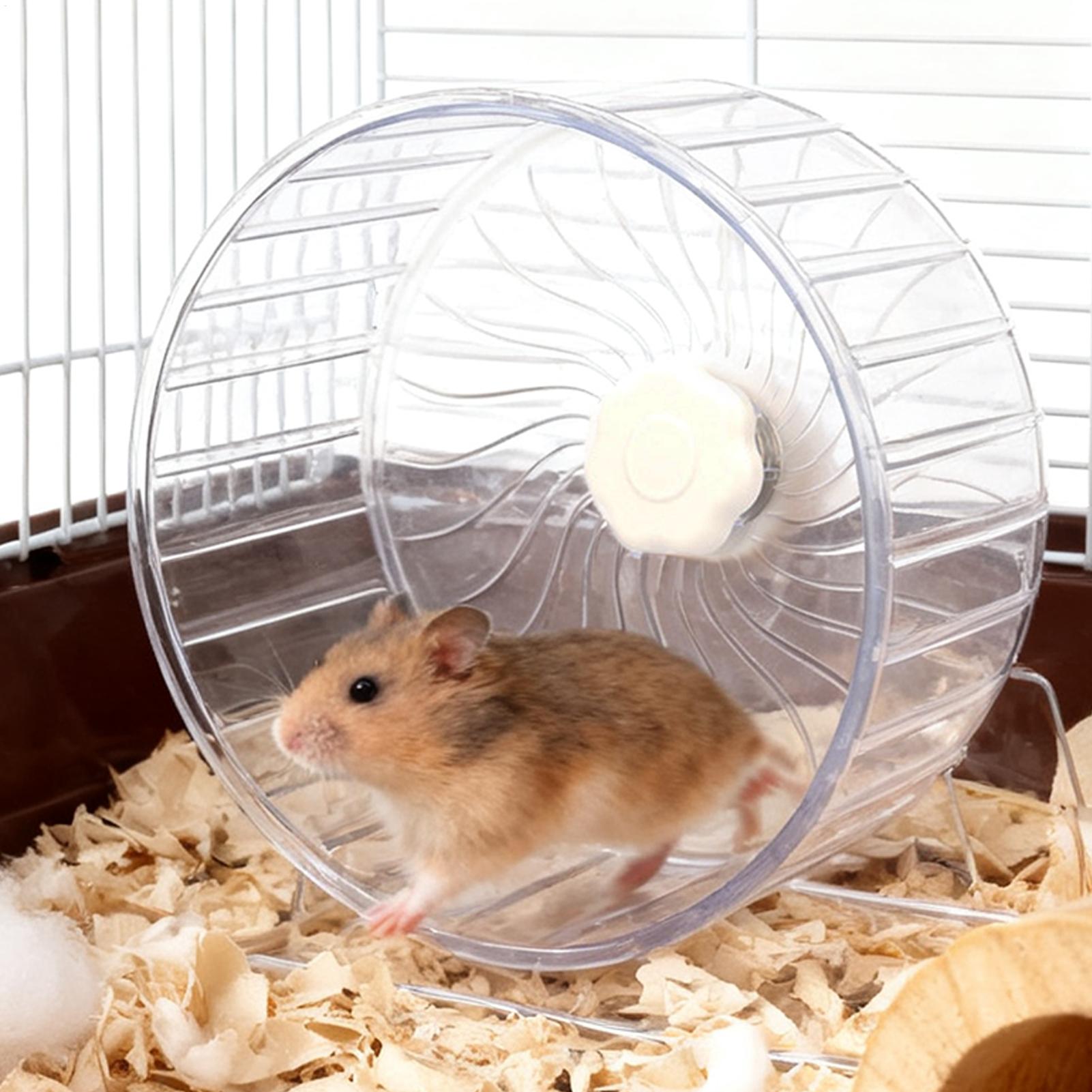 Hamster Cage Wheel - Rueda de Ejercicio Transparente para Hámster,