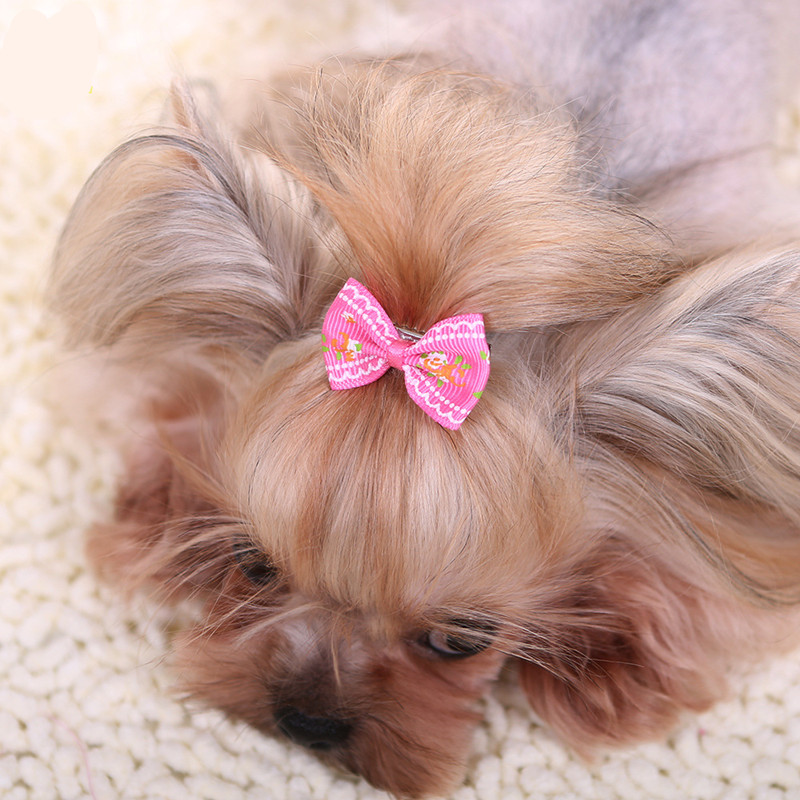 Pet Supplies York - Horquilla para el pelo para perros