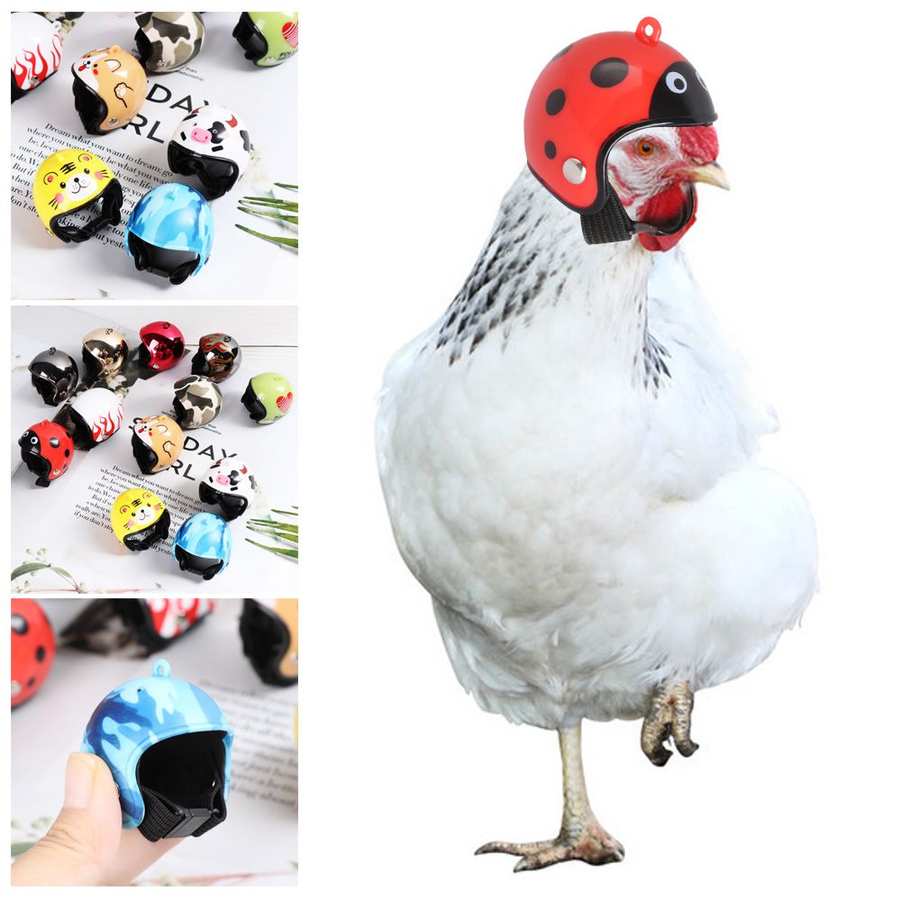 Pet X Supplies & Tack Reviews - Divertidos Accesorios para Mascotas de ABS,