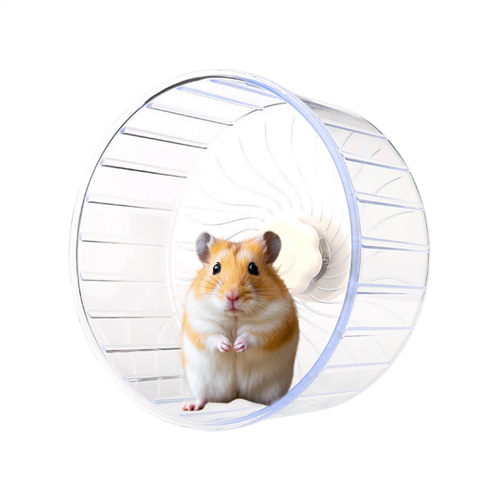 Rueda de Ejercicio Transparent - Hamster Cage Wheel reseña y precio