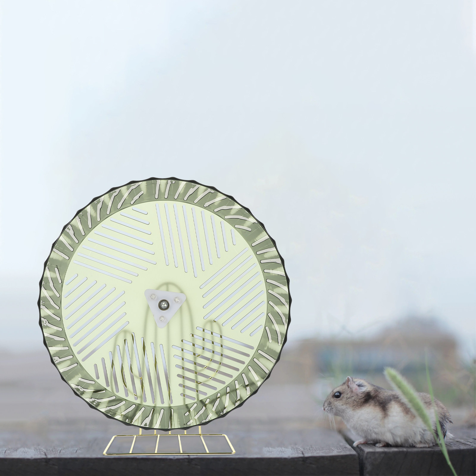 Rueda de Ejercicio para Hámste - Hamster Cage Wheel reseña y precio