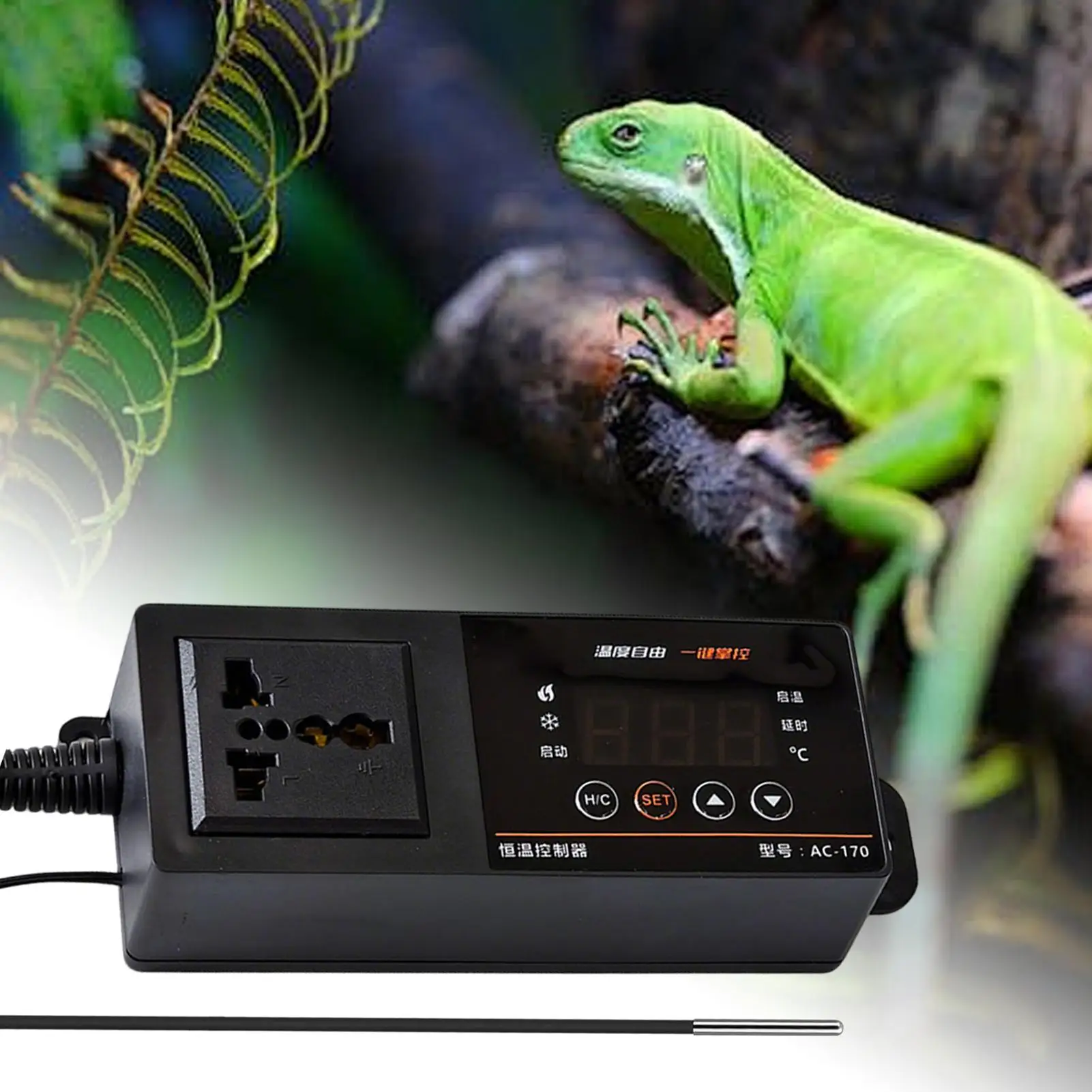 Termostato para tanque de rept - Pet Supplies In Uk reseña y precio