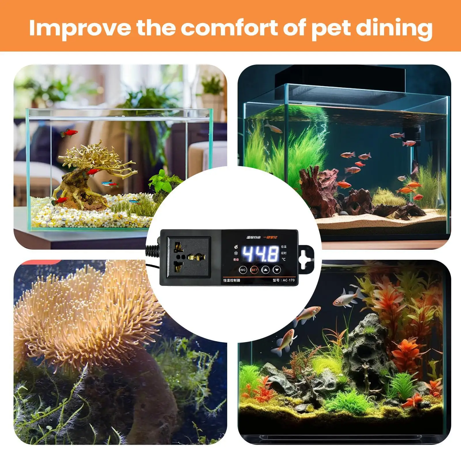 Termostato para tanque de rept - Pet Supplies In Uk reseña y precio