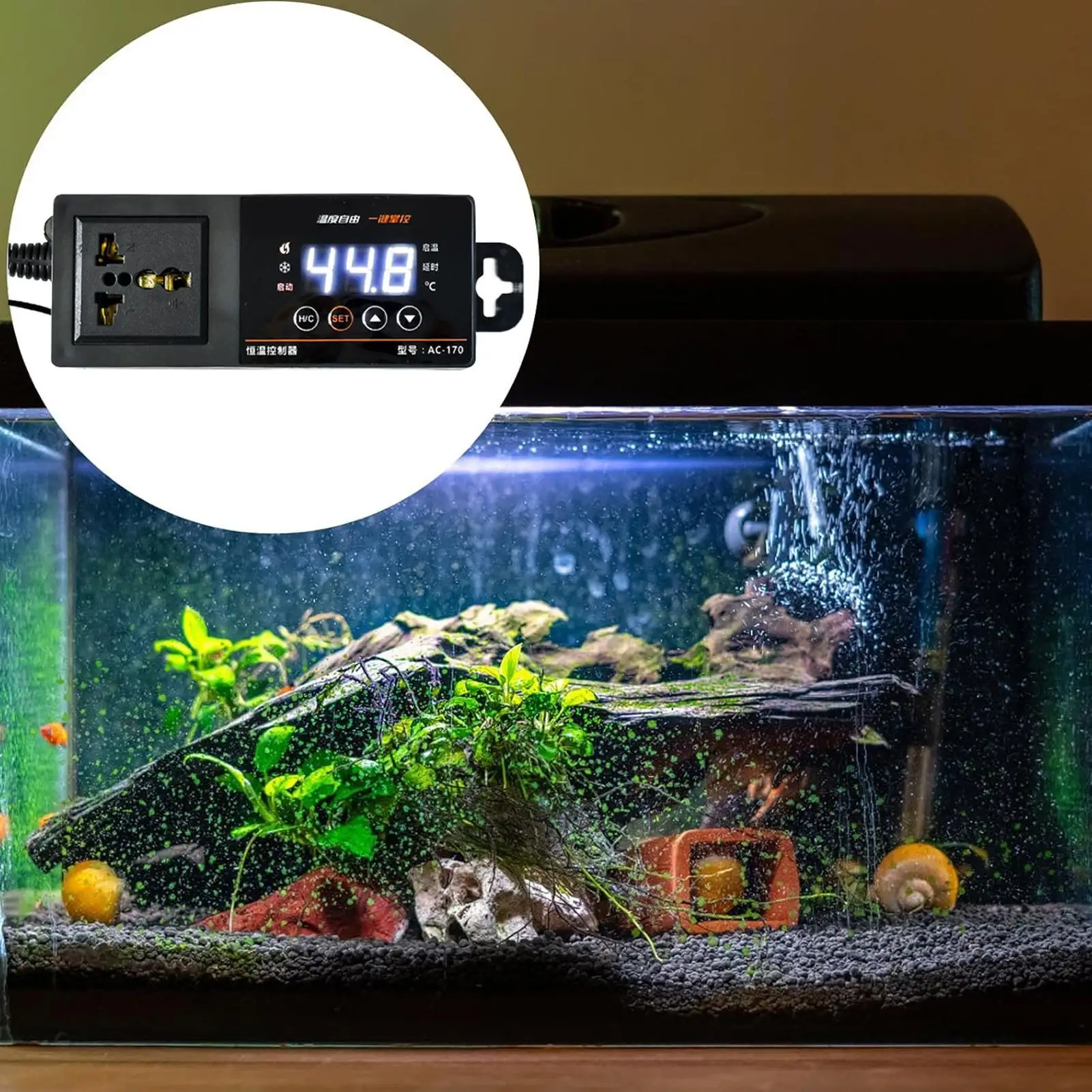 Termostato para tanque de rept - Pet Supplies In Uk reseña y precio