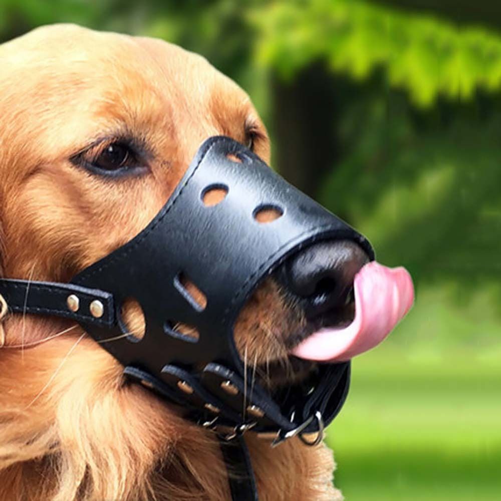 Bozal Antimordiscos y Antiladr - Pet Supplies Plus reseña y precio