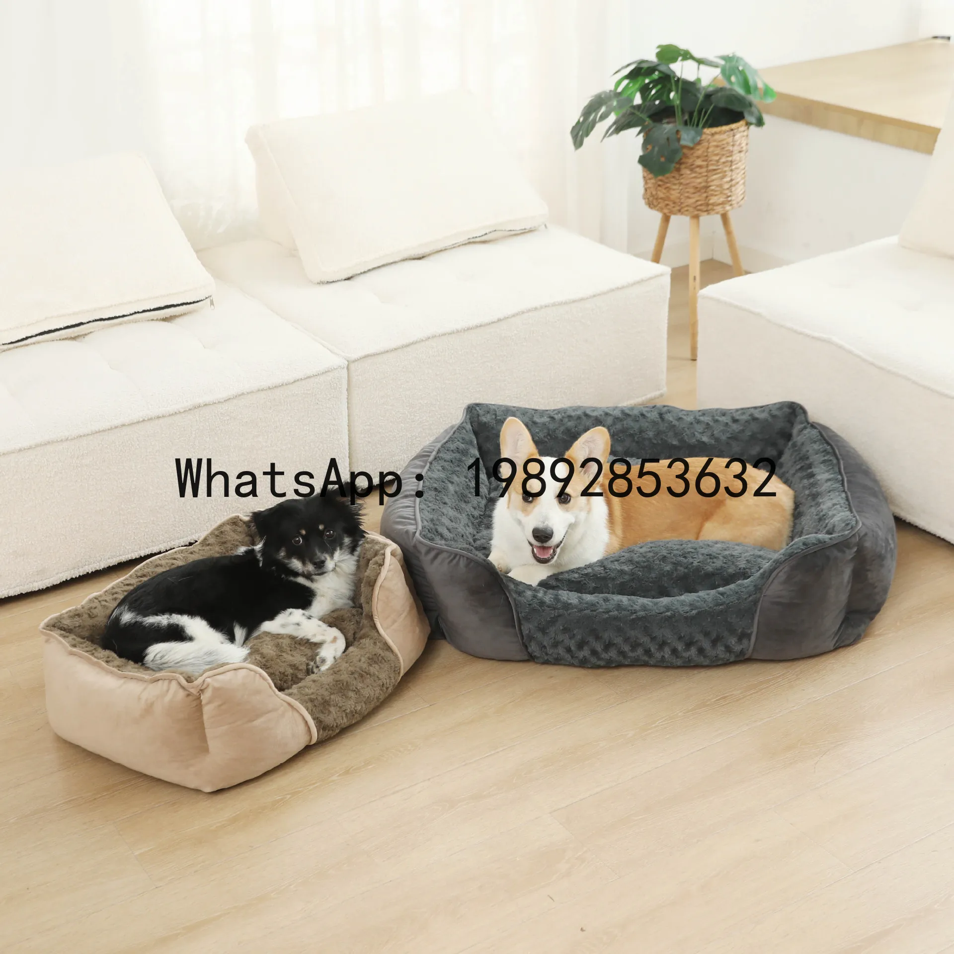 Casa para gatos X, caseta para - Pet X Supplies & Tack Reviews reseña y precio