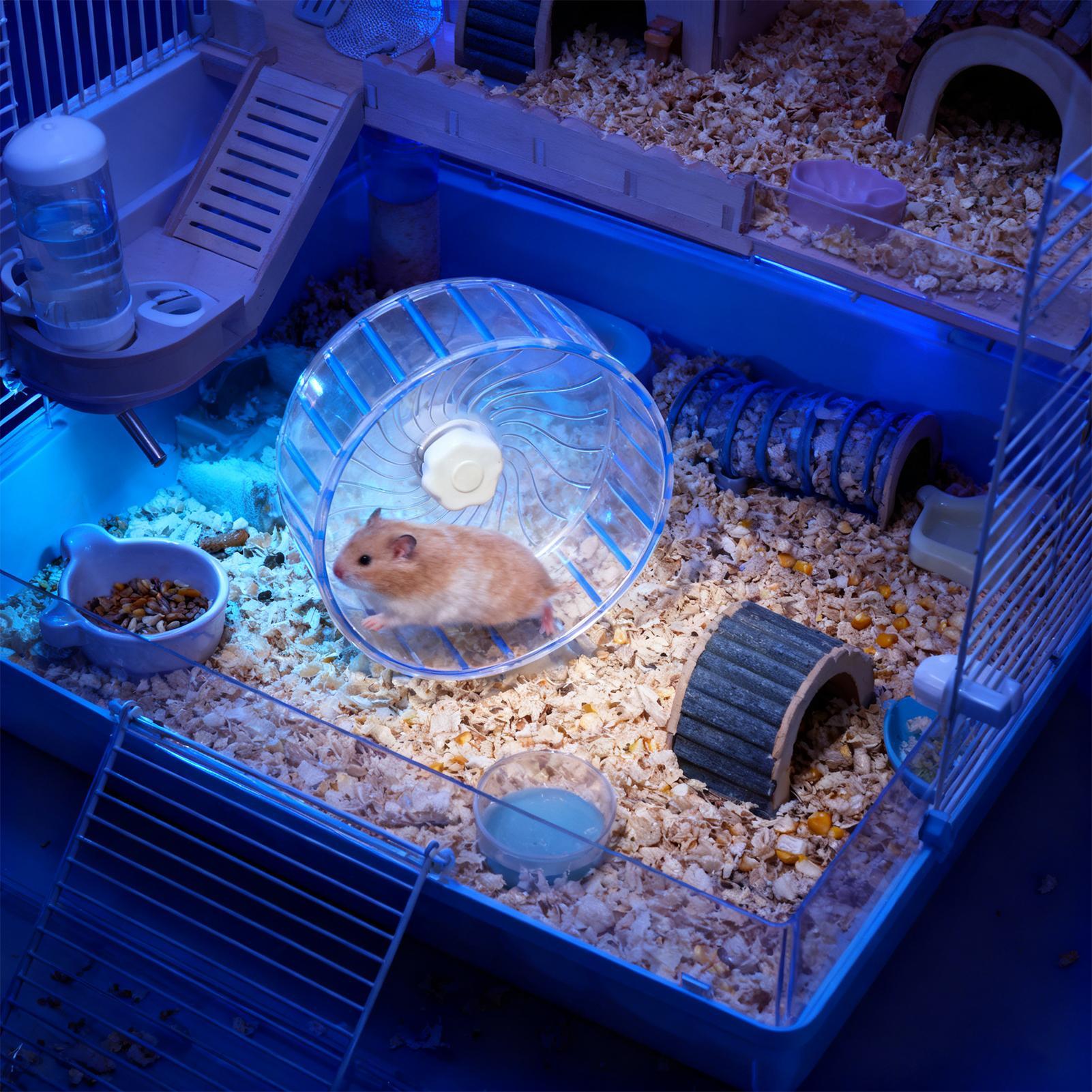 Rueda silenciosa para hámster, - Hamster Cage Wheel reseña y precio