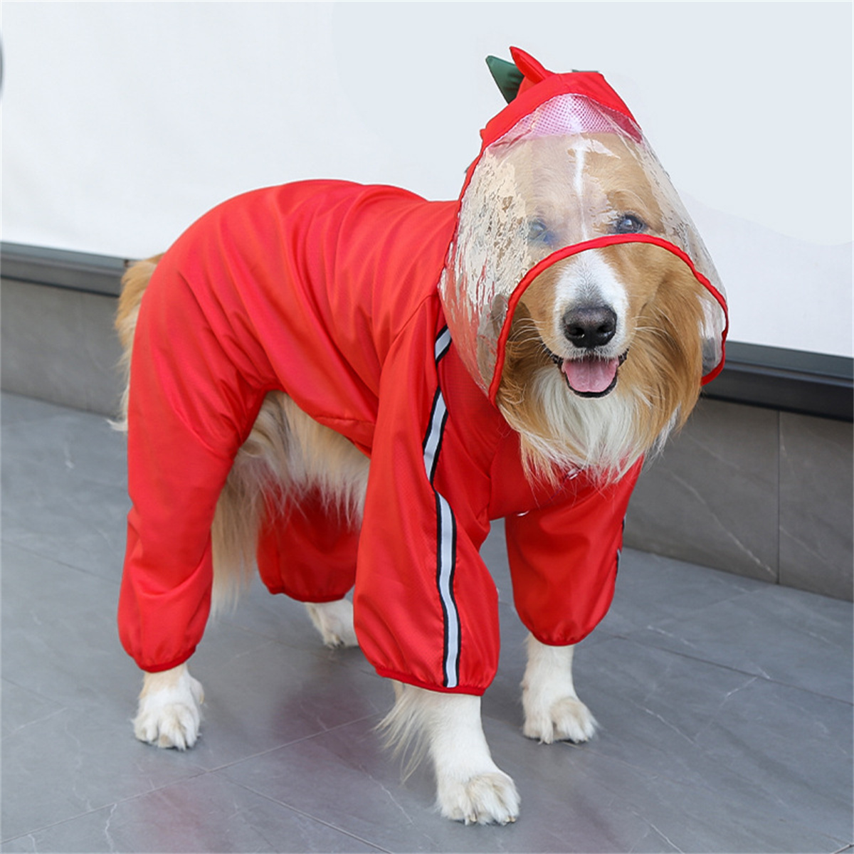 Chubasquero impermeable para p - Pet Supplies Plus reseña y precio