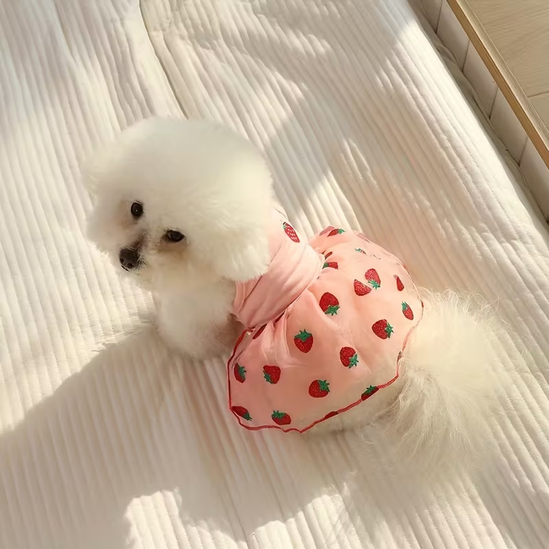 Falda fina de princesa para ca - Pet Supplies York reseña y precio