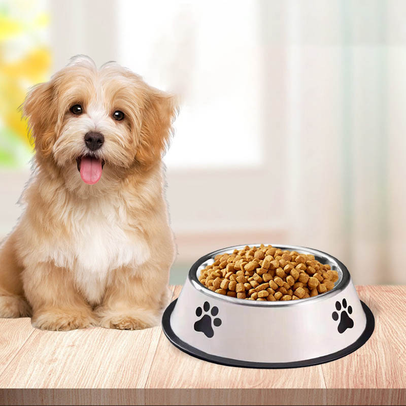 Tazón de Acero Inoxidable para - Pet Supplies Plus reseña y precio