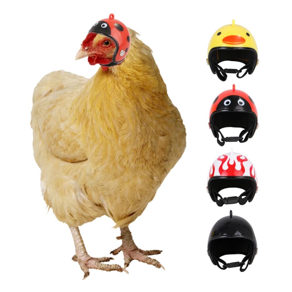 ABS Artículos para Mascotas, D - Pet X Supplies & Tack Reviews reseña y precio